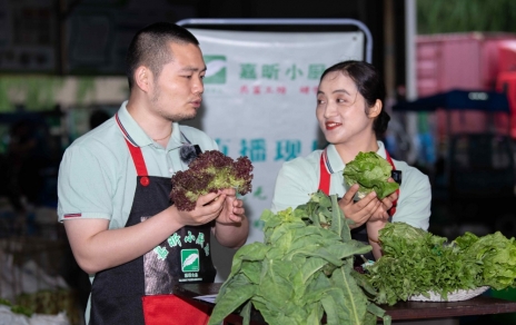 千金如玉，一口清心--生菜?油麥菜?萵筍直播專場(chǎng)